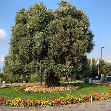Mina'S Suites - קיסריה Екстер'єр фото